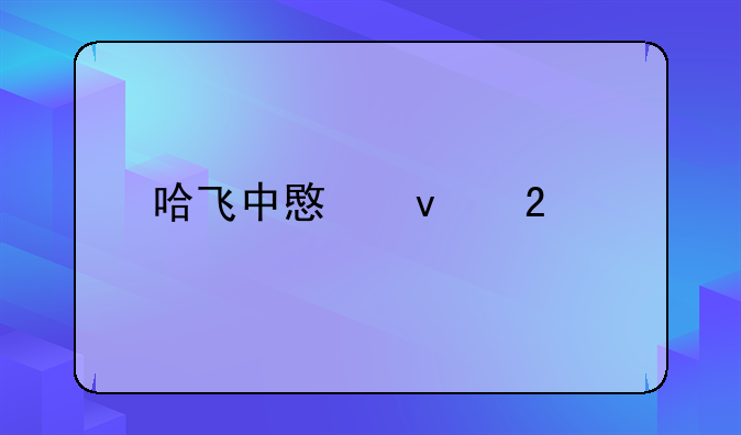 哈飞中意面包车如何