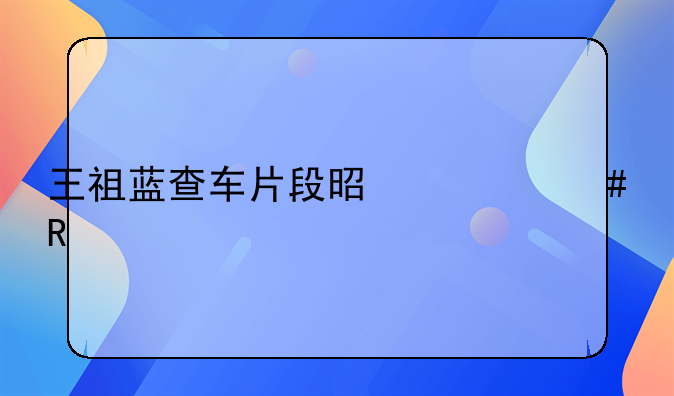 王祖蓝查车片段是什么电影