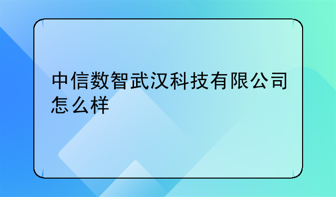 中信数智武汉科技有限公司怎么样