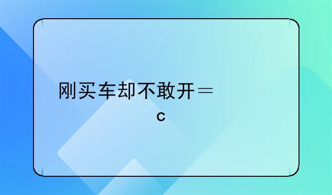 刚买车却不敢开？驾车高手教你几