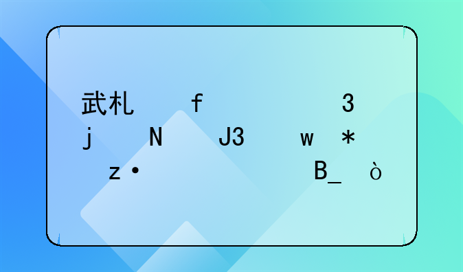 武术器械里的链和九节鞭一样吗？